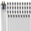 24 Inch 24W 6500K T5 Fluorescent Bulb G5 Bipin Base Pack of 40 Z866649