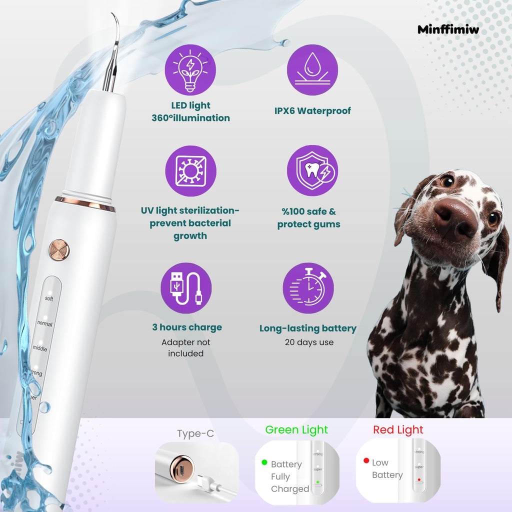 Dog Teeth Cleaning Kit with LED Light G267