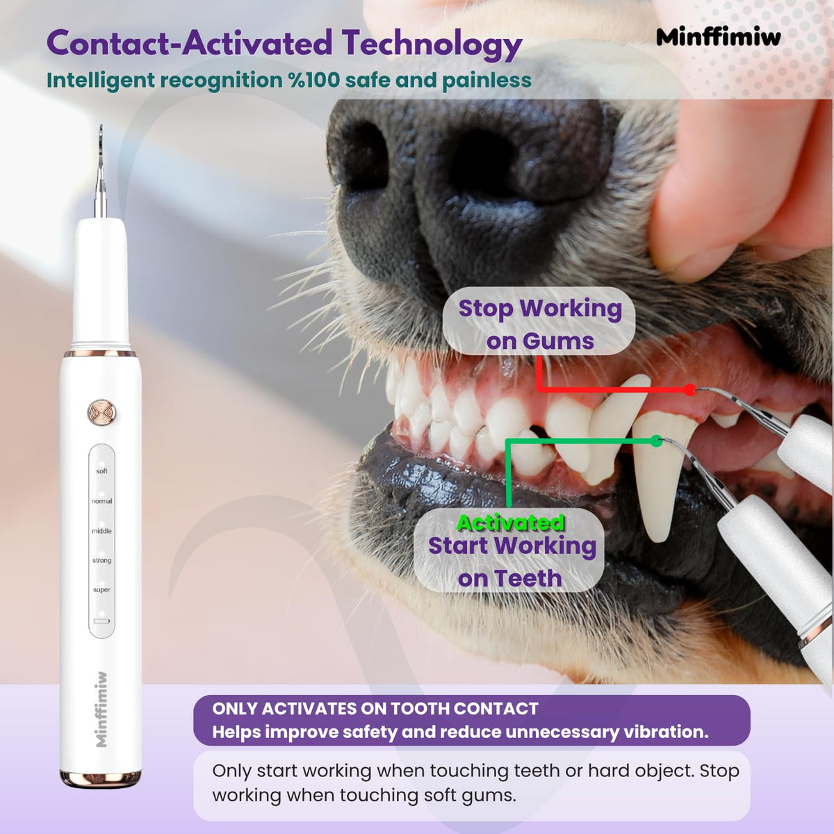 Dog Teeth Cleaning Kit with LED Light G267