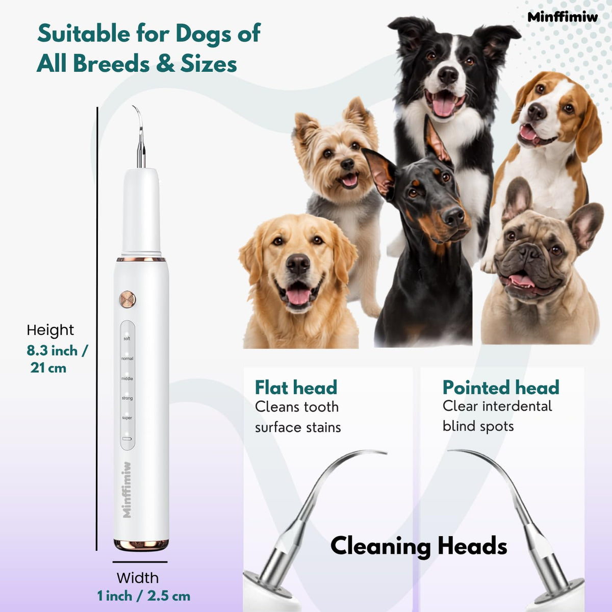 Dog Teeth Cleaning Kit with LED Light G267