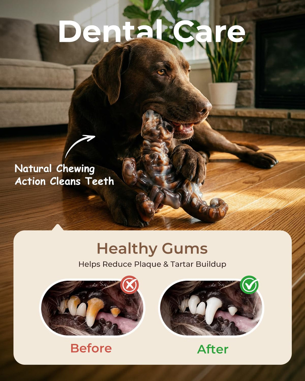 2-Pack Tough Dog Chew Toys O64413