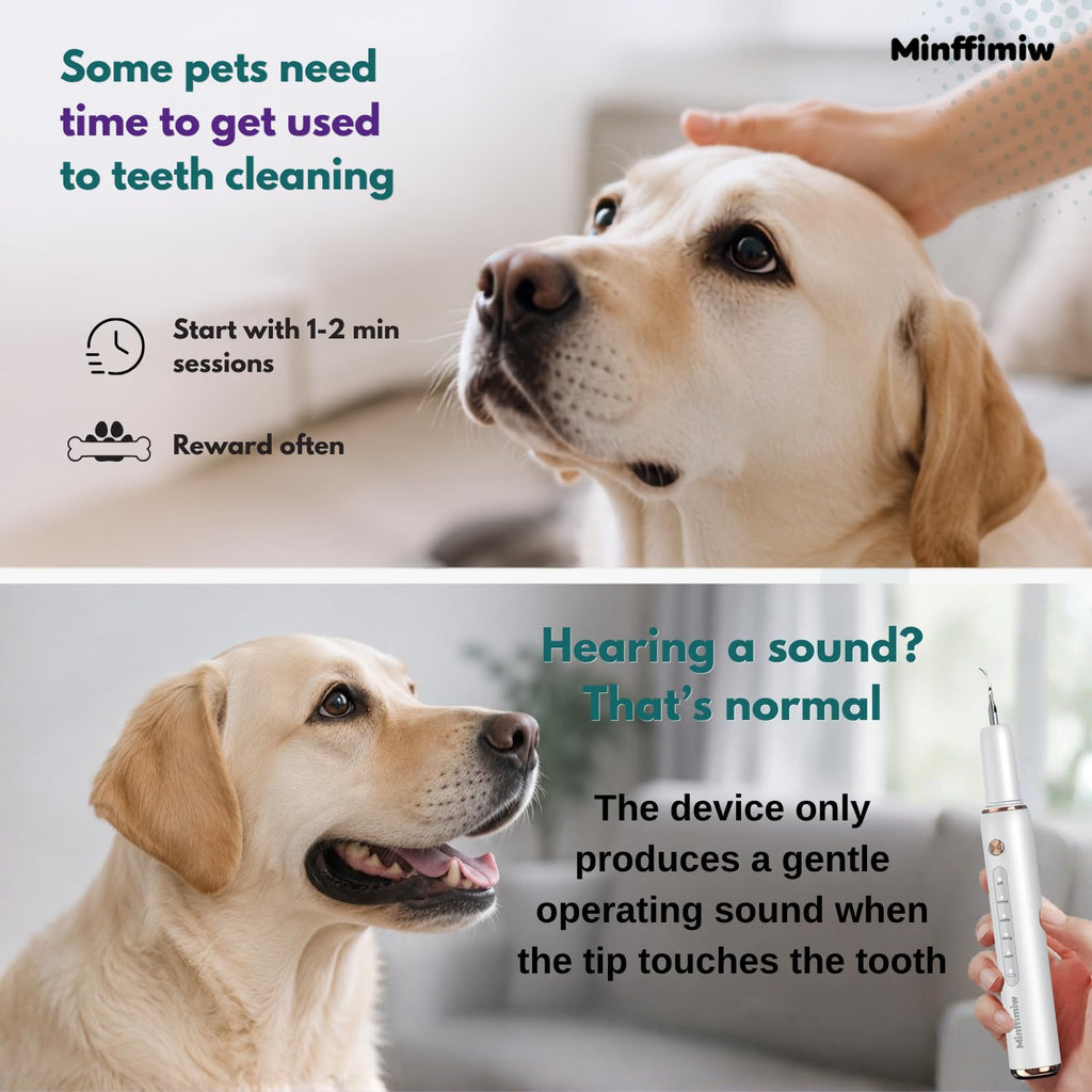 Dog Teeth Cleaning Kit with LED Light G267