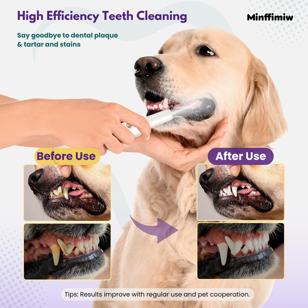 Dog Teeth Cleaning Kit with LED Light G267