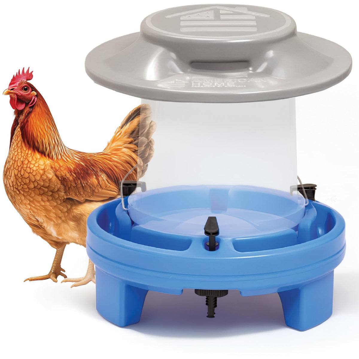 5 Gallon Chicken Waterer P742