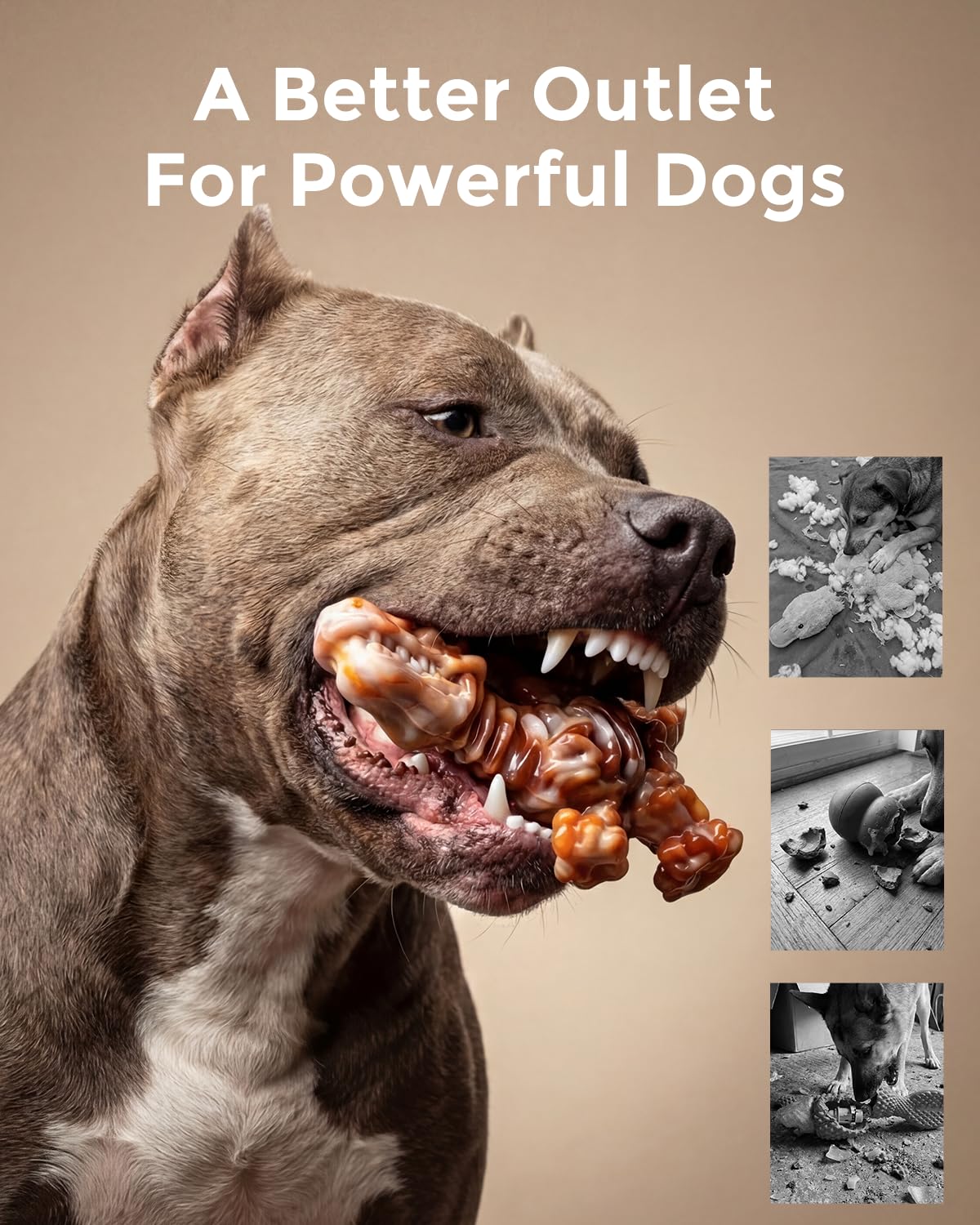 2-Pack Tough Dog Chew Toys O64413