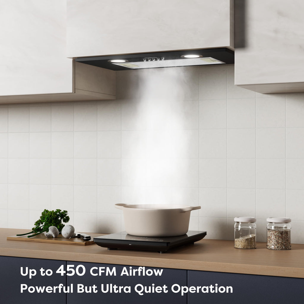 20 inch 650 CFM Black Insert Range Hood T1314