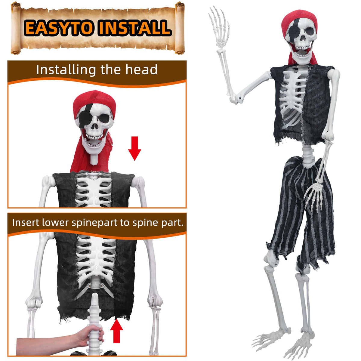 5.4ft Posable Life Size Skeleton with Movable Joints B5905