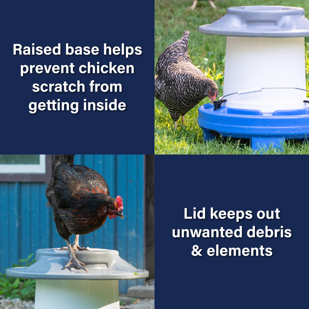 5 Gallon Chicken Waterer P742