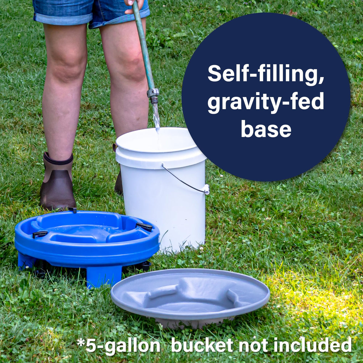 5 Gallon Chicken Waterer P742
